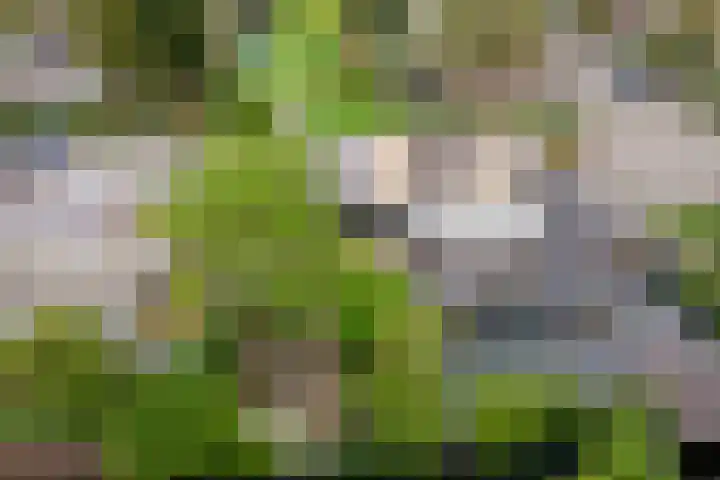 Rompertdreef 24 's-Hertogenbosch thumbnail 51