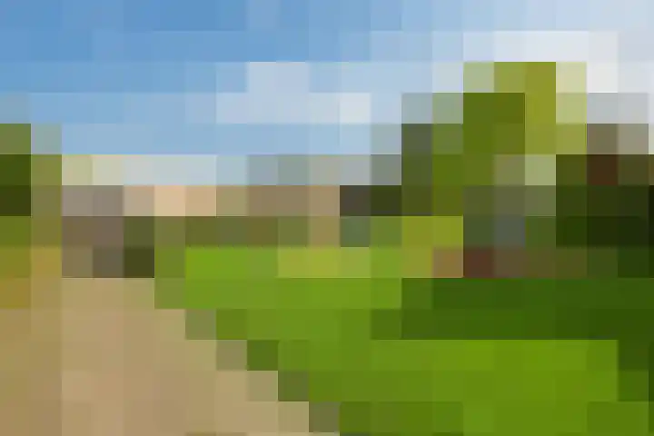 Rompertdreef 24 's-Hertogenbosch thumbnail 52