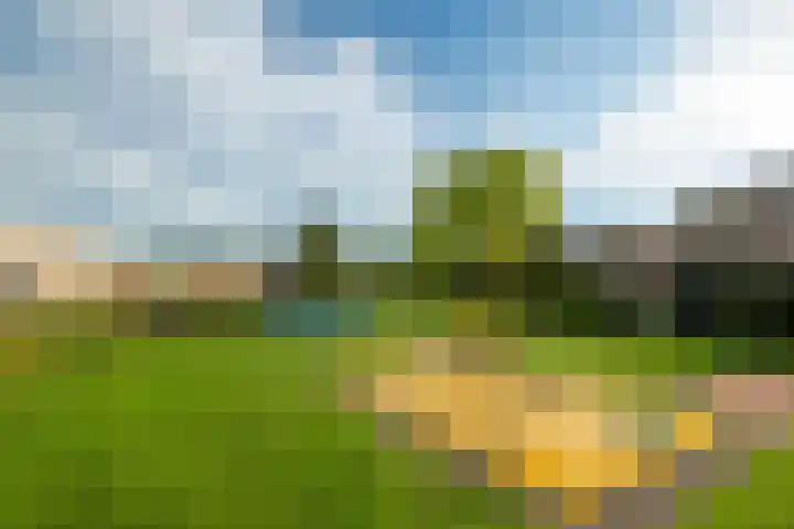 Rompertdreef 24 's-Hertogenbosch thumbnail 54