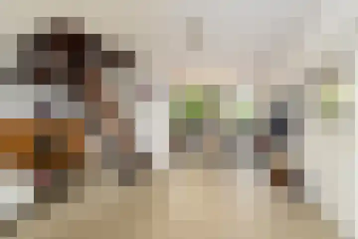 Rompertdreef 24 's-Hertogenbosch thumbnail 8