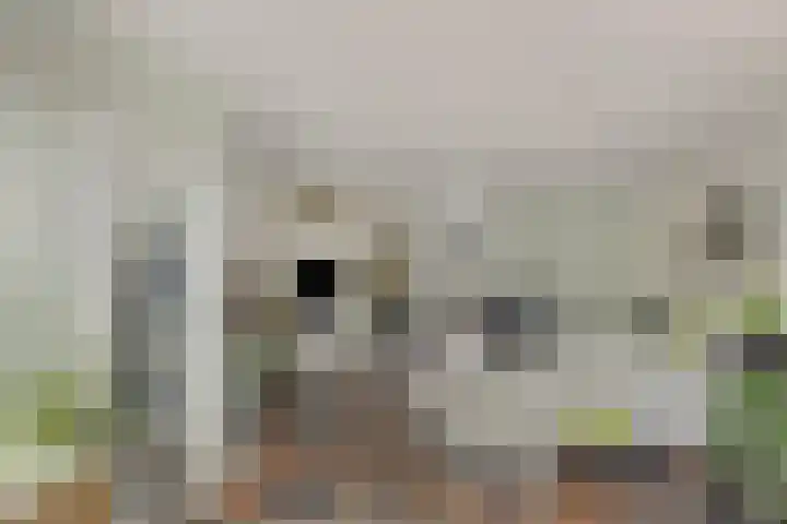 Rompertdreef 33 's-Hertogenbosch thumbnail 5