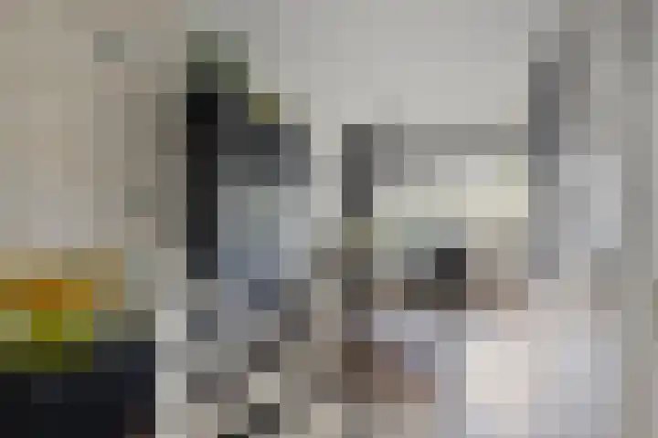 Rompertdreef 33 's-Hertogenbosch thumbnail 7