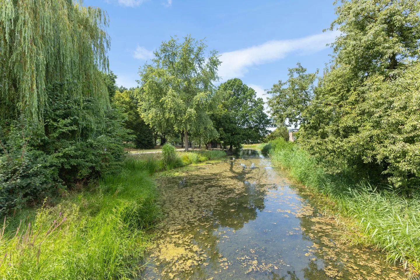 Rompertdreef 54 's-Hertogenbosch thumbnail 41