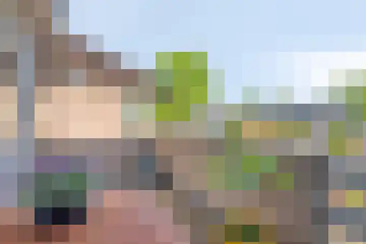 Rompertdreef 68 's-Hertogenbosch thumbnail 13