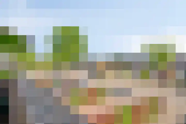 Rompertdreef 68 's-Hertogenbosch thumbnail 35