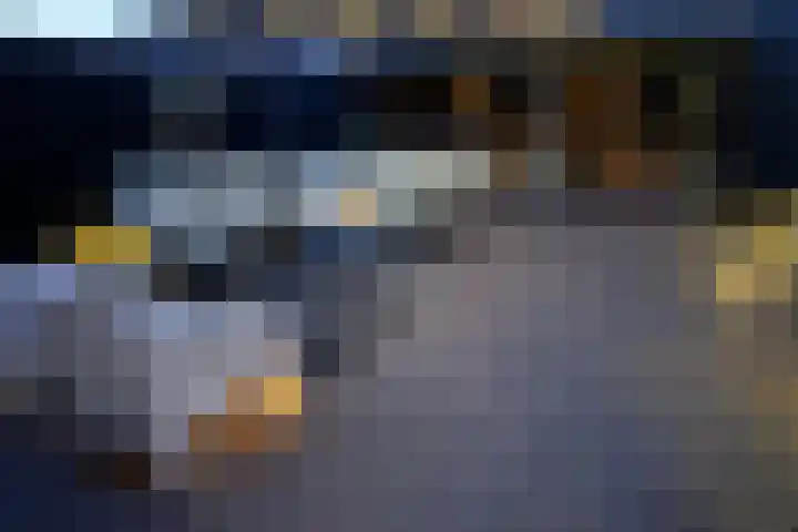 Romulus 142 Wijk bij Duurstede thumbnail 18