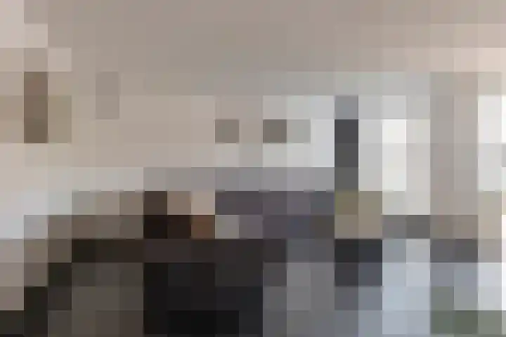 Romulus 142 Wijk bij Duurstede thumbnail 8