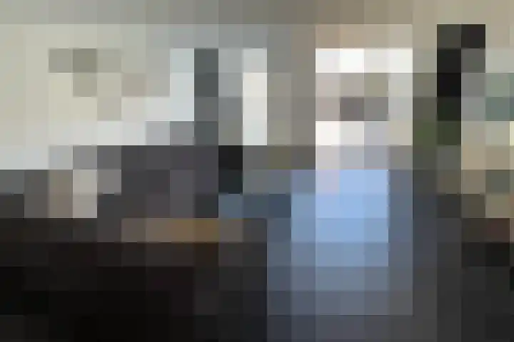 Romulus 142 Wijk bij Duurstede thumbnail 9