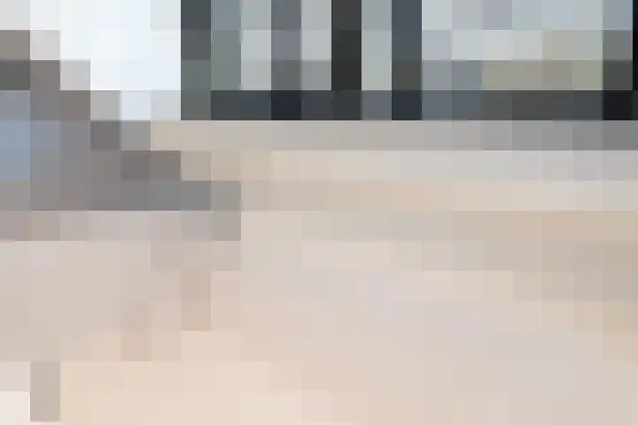 Romulus 24 Wijk bij Duurstede thumbnail 23