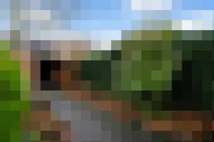 Romulus 24 Wijk bij Duurstede thumbnail 30