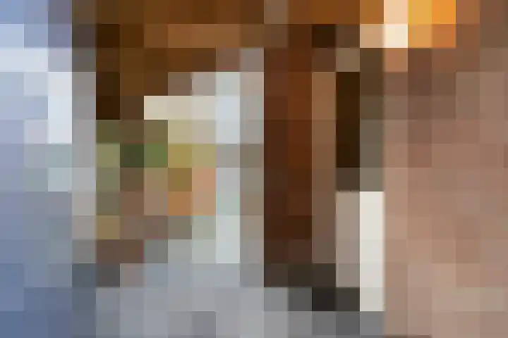 Romulus 24 Wijk bij Duurstede thumbnail 33