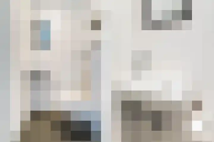 Romulus 24 Wijk bij Duurstede thumbnail 8