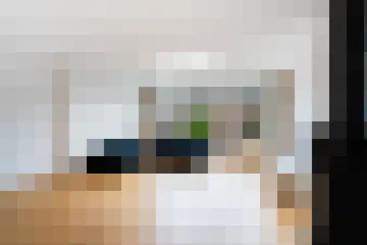 Romulus 24 Wijk bij Duurstede thumbnail 9