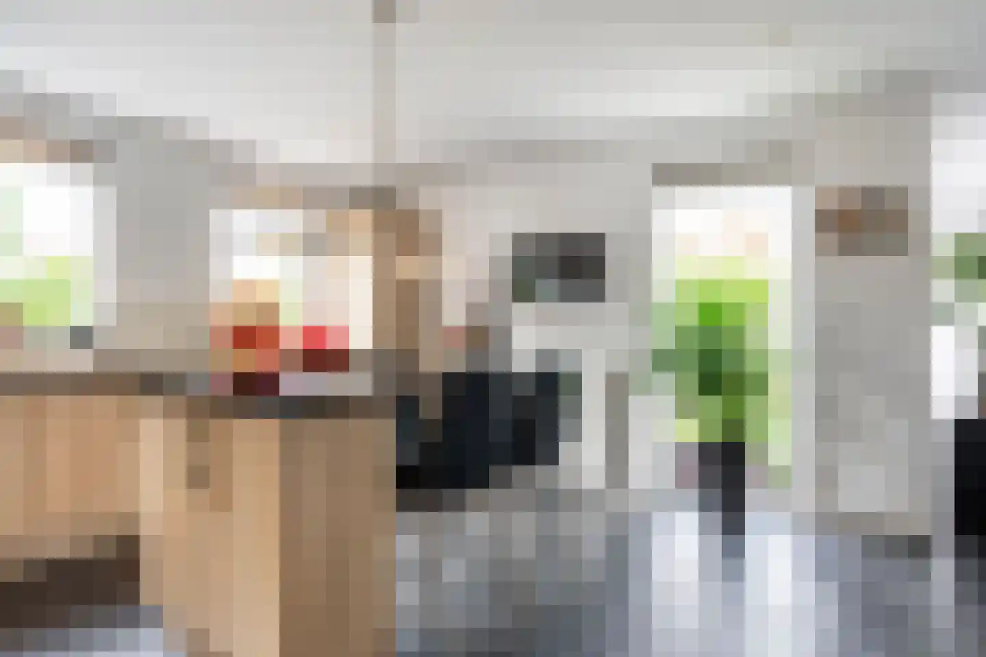 Romulus 27 Wijk bij Duurstede thumbnail 15