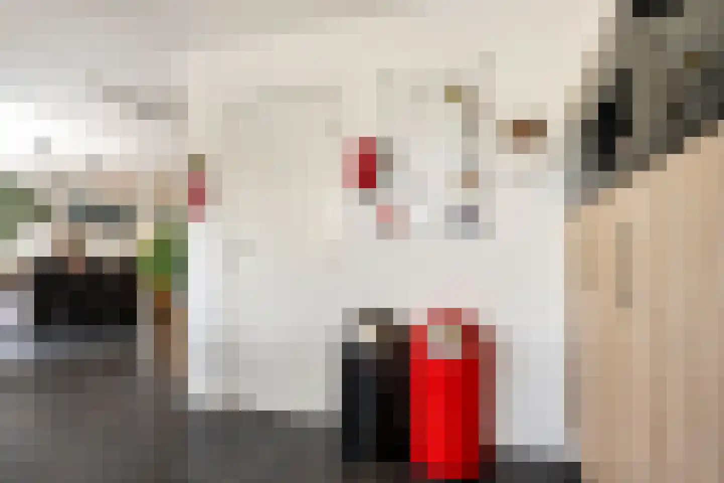 Romulus 27 Wijk bij Duurstede thumbnail 17