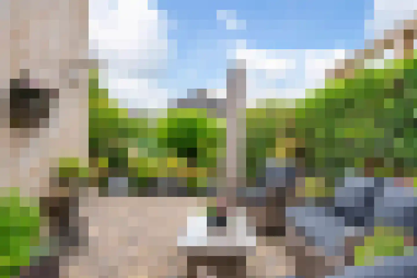 Romulus 27 Wijk bij Duurstede thumbnail 20