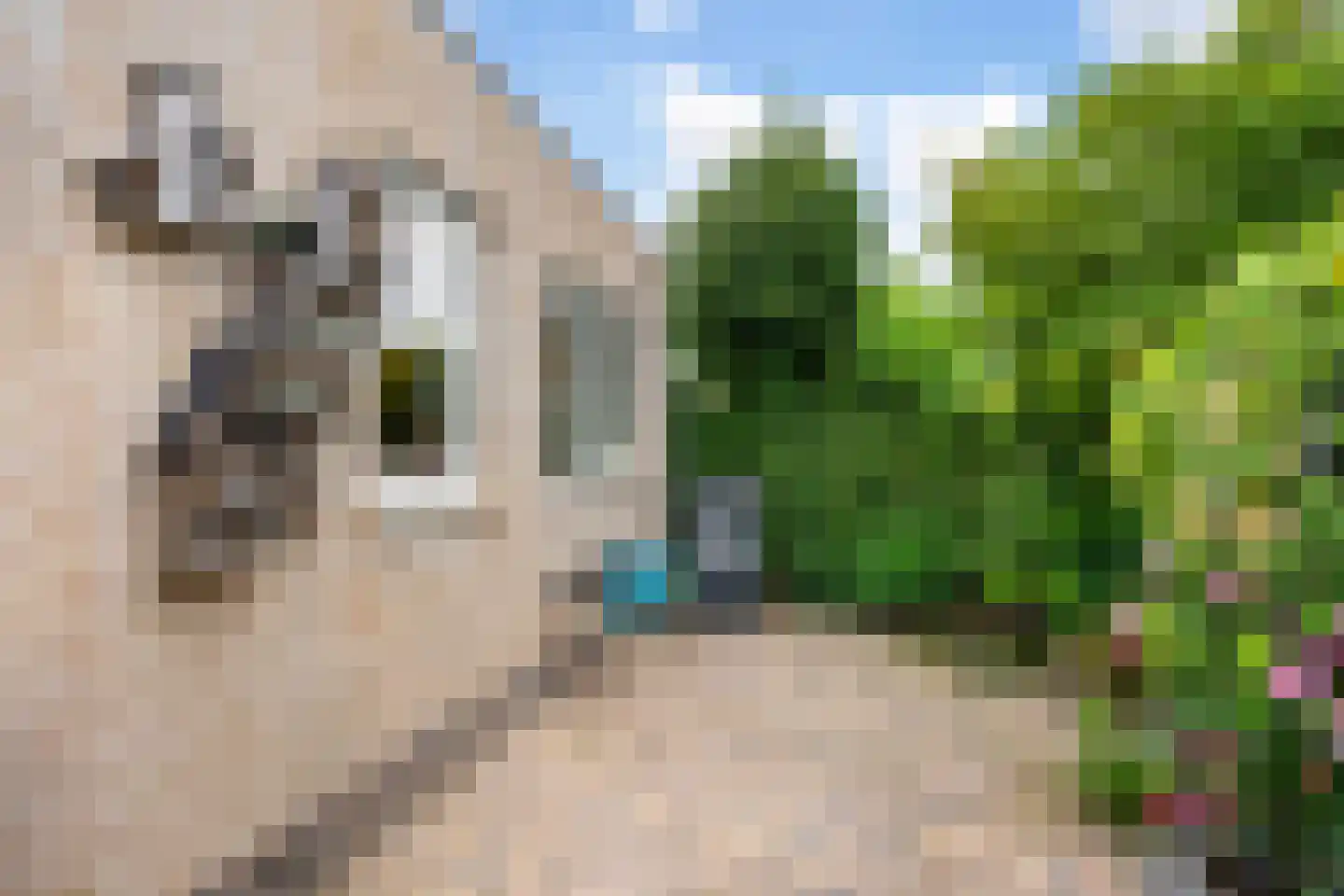 Romulus 27 Wijk bij Duurstede thumbnail 23