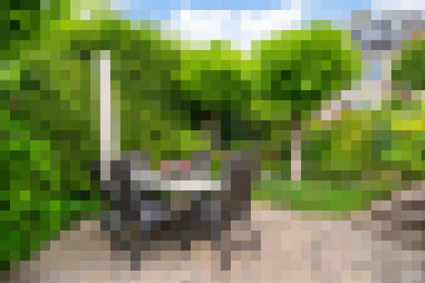 Romulus 27 Wijk bij Duurstede thumbnail 25