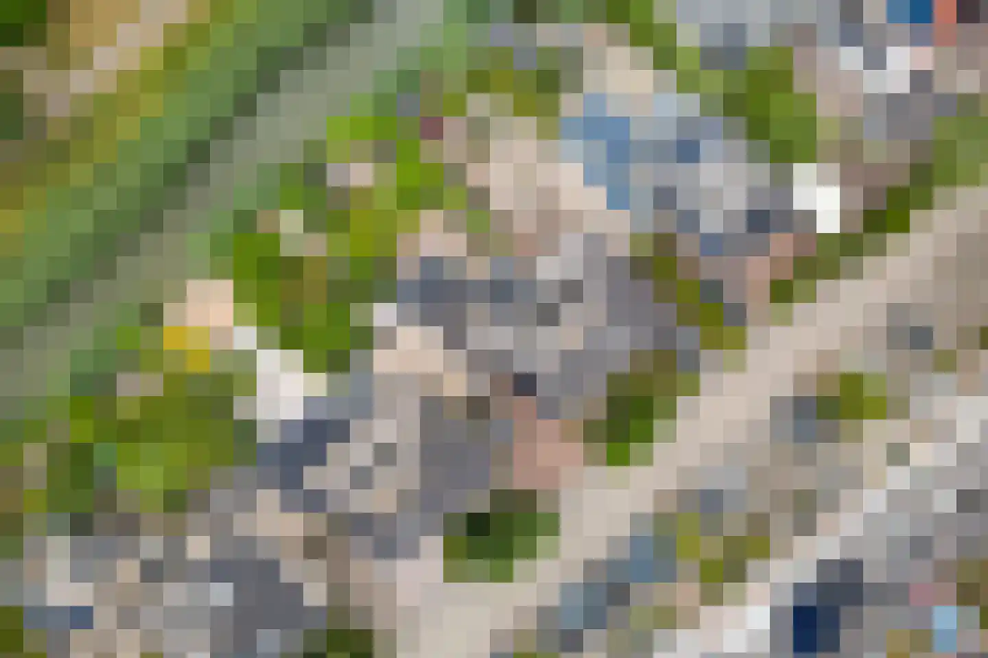 Romulus 27 Wijk bij Duurstede thumbnail 52