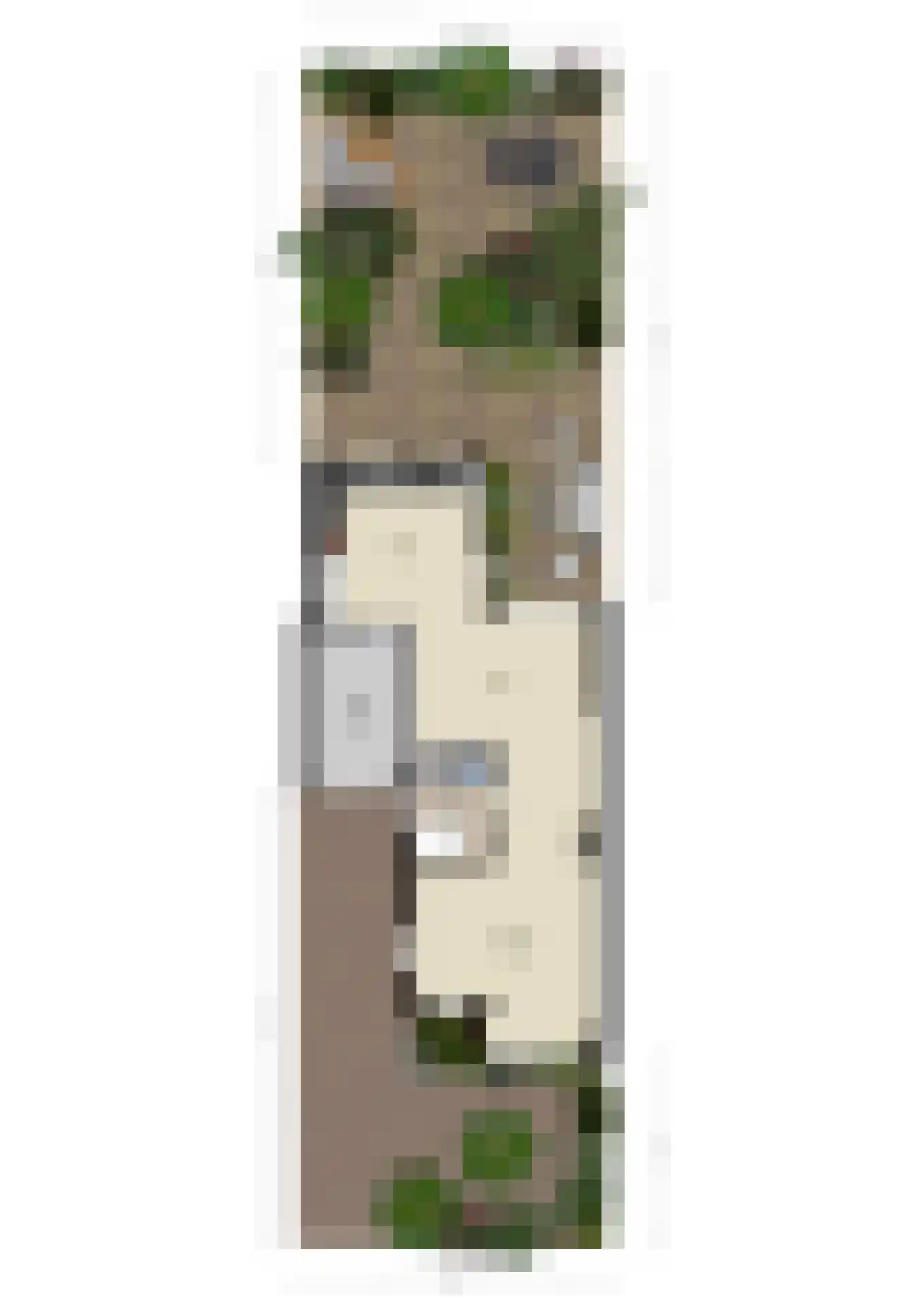 Romulus 27 Wijk bij Duurstede thumbnail 56