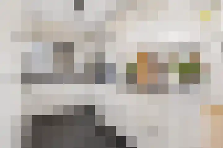 Romulus 33 Wijk bij Duurstede thumbnail 15