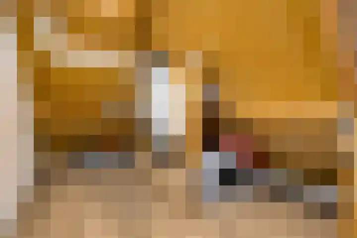Romulus 33 Wijk bij Duurstede thumbnail 32