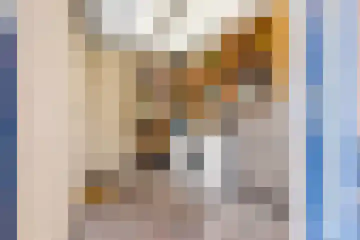 Romulus 33 Wijk bij Duurstede thumbnail 36