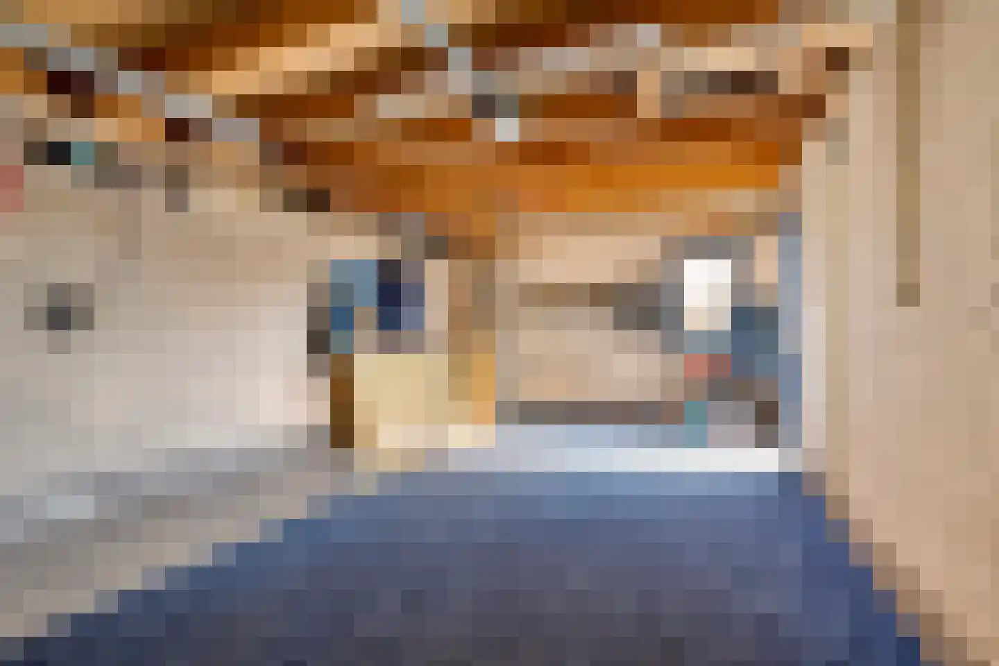 Romulus 33 Wijk bij Duurstede thumbnail 38
