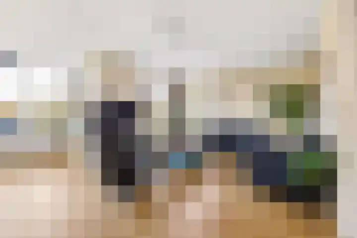 Romulus 33 Wijk bij Duurstede thumbnail 5