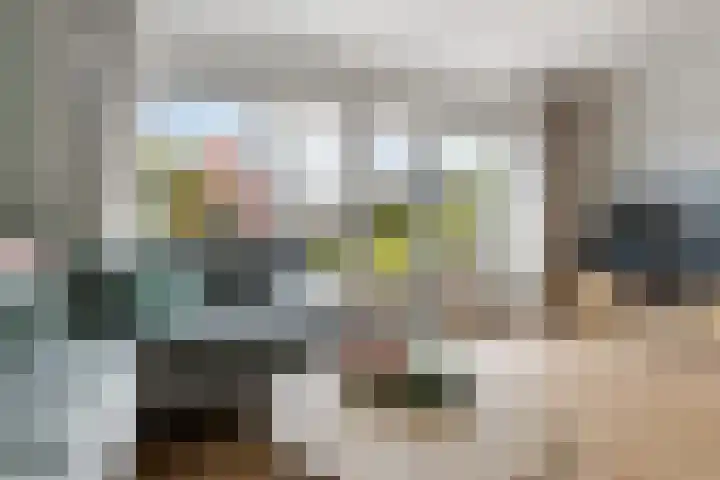 Romulus 42 Wijk bij Duurstede thumbnail 12