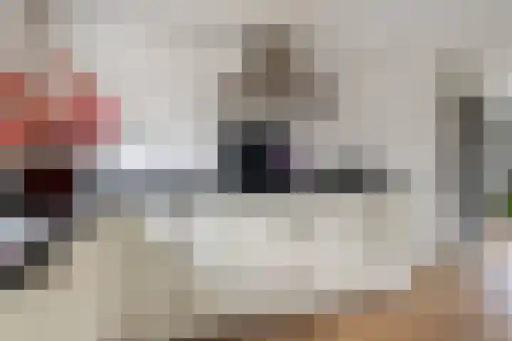 Romulus 42 Wijk bij Duurstede thumbnail 17