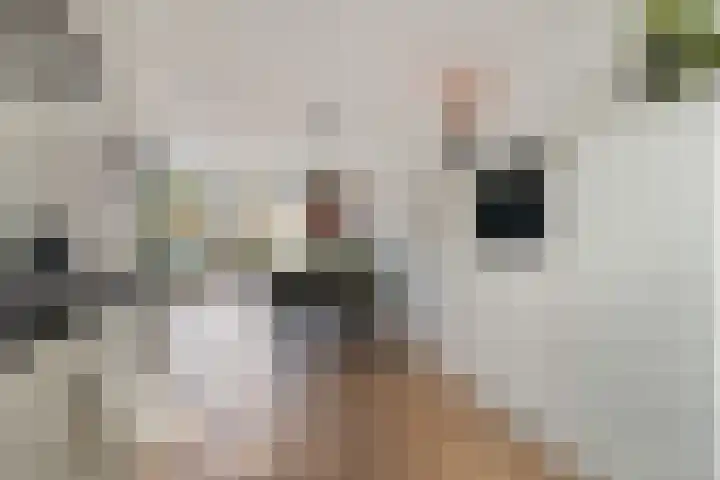 Romulus 42 Wijk bij Duurstede thumbnail 18
