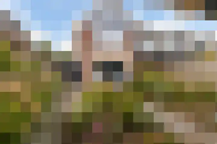 Romulus 42 Wijk bij Duurstede thumbnail 25