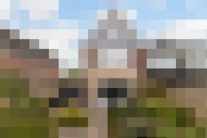 Romulus 42 Wijk bij Duurstede thumbnail 26