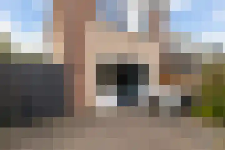 Romulus 42 Wijk bij Duurstede thumbnail 28