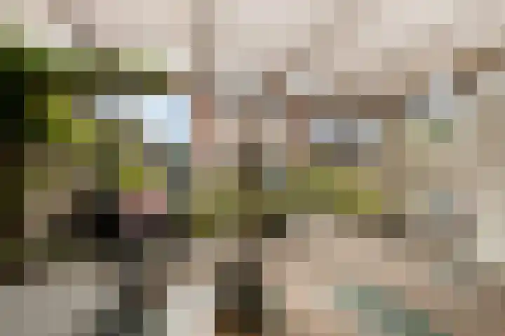 Romulus 42 Wijk bij Duurstede thumbnail 33
