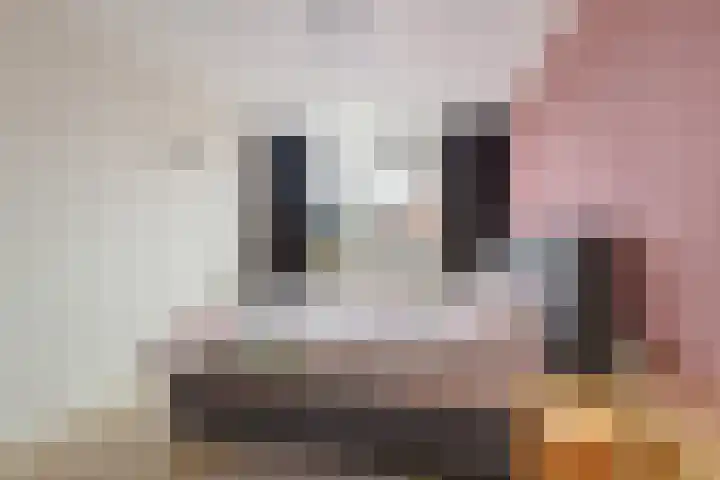 Romulus 42 Wijk bij Duurstede thumbnail 37
