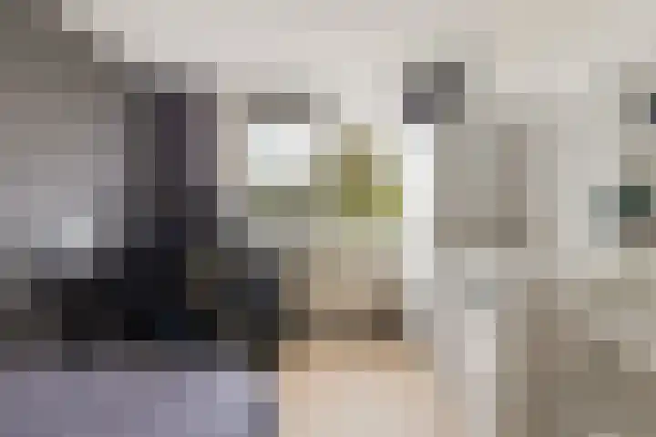 Romulus 42 Wijk bij Duurstede thumbnail 39