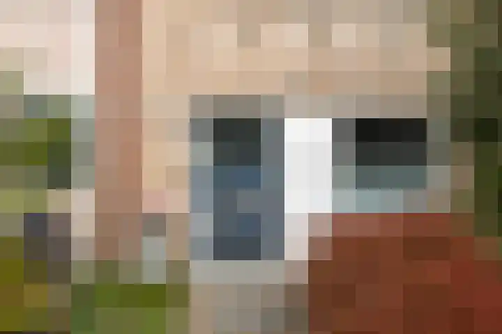 Romulus 42 Wijk bij Duurstede thumbnail 4