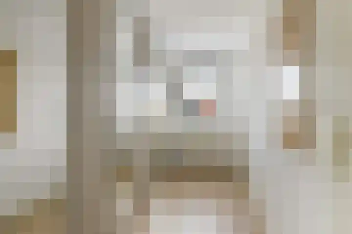 Romulus 42 Wijk bij Duurstede thumbnail 41