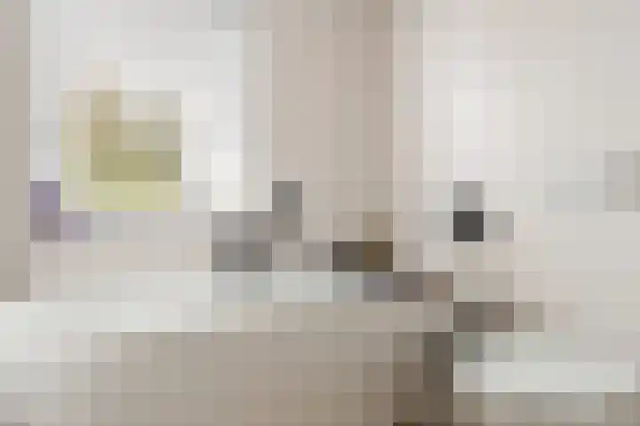 Romulus 42 Wijk bij Duurstede thumbnail 44