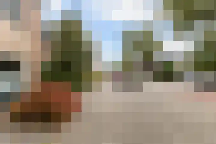 Romulus 42 Wijk bij Duurstede thumbnail 5