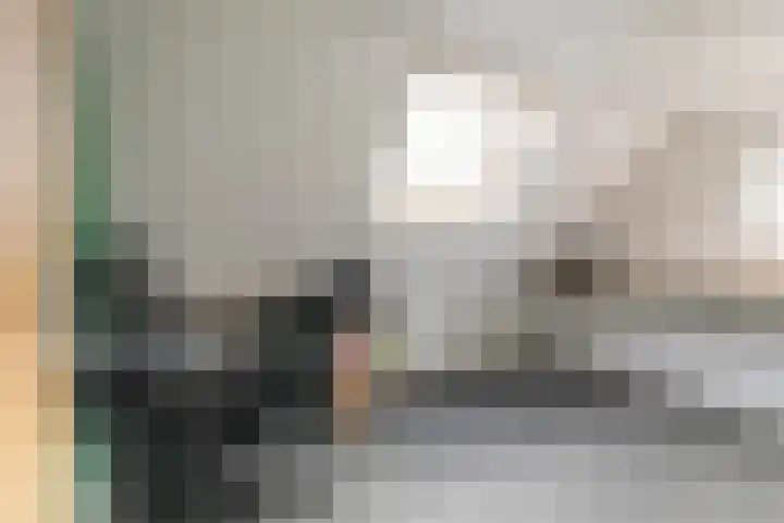 Romulus 42 Wijk bij Duurstede thumbnail 52