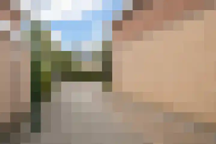 Romulus 42 Wijk bij Duurstede thumbnail 65