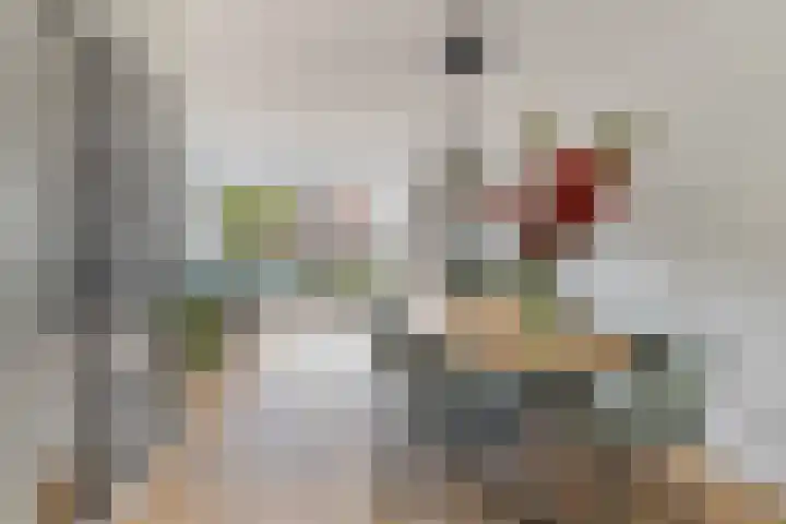 Romulus 42 Wijk bij Duurstede thumbnail 7