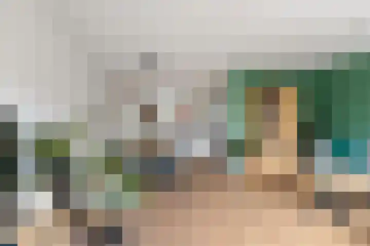 Romulus 42 Wijk bij Duurstede thumbnail 8