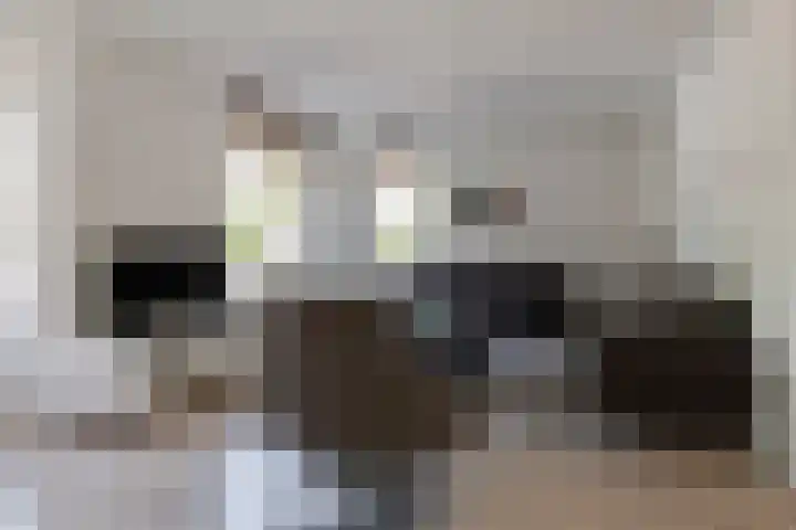Romulus 45 Wijk bij Duurstede thumbnail 13
