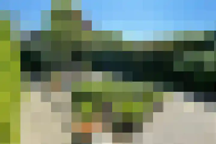 Romulus 45 Wijk bij Duurstede thumbnail 25