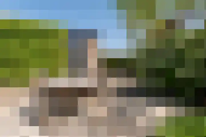 Romulus 45 Wijk bij Duurstede thumbnail 29