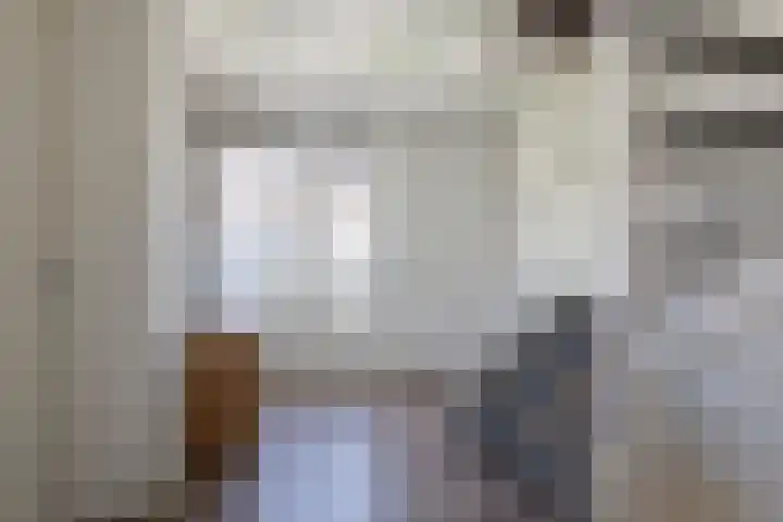 Romulus 45 Wijk bij Duurstede thumbnail 31